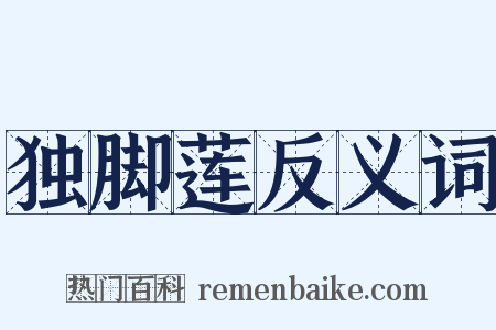 独脚莲反义词是什么意思的图片